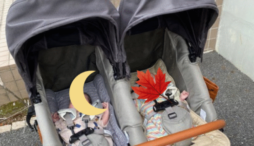 双子育児のおでかけ事情！月齢ごとのお出かけ練習方法をご紹介