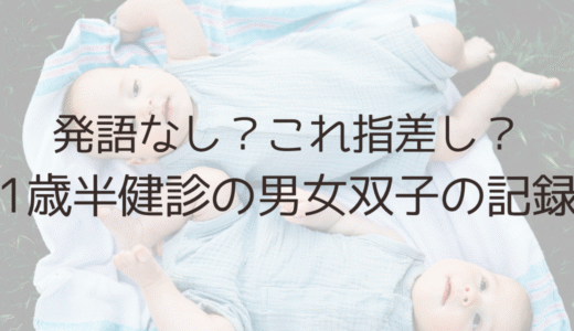 1歳半健診で発語なし？男女双子の成長記録と今思うこと