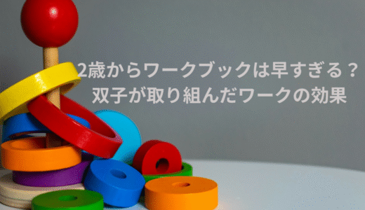 「2歳からワークは早い？」男女双子が実際に取り組んでわかった効果【2歳と3歳の違い】