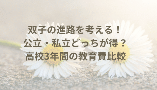 【双子の進路】公立・私立どっちが得？高校3年間の費用比較と、大学入学までに貯めるべき目標額の出し方