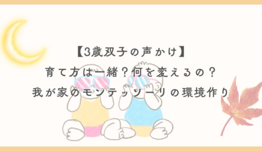 【3歳の双子】育て方を変えるべき理由｜声かけと環境づくりの実例