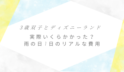 3歳双子とディズニーランド｜実際いくらかかった？雨の日1日のリアルな費用