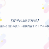 双子の３歳半検診アイキャッチ画像