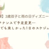 3歳双子ディズニーランドスケジュールアイキャッチ画像
