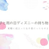 雨の日ディズニーランドの持ち物アイキャッチ画像