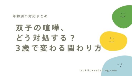 双子の喧嘩どう対処する？アイキャッチ画像