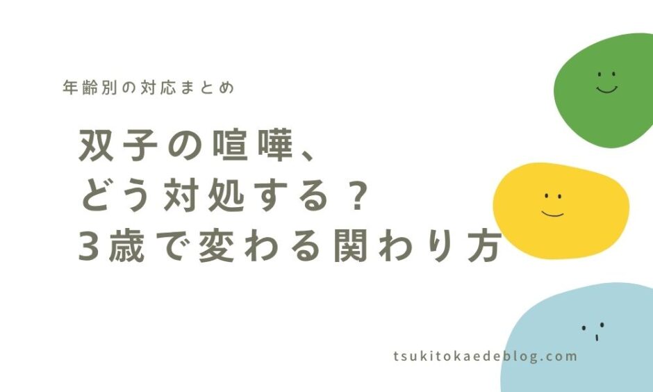 双子の喧嘩どう対処する？アイキャッチ画像