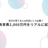 双子を育てるには年収いくら必要？アイキャッチ画像