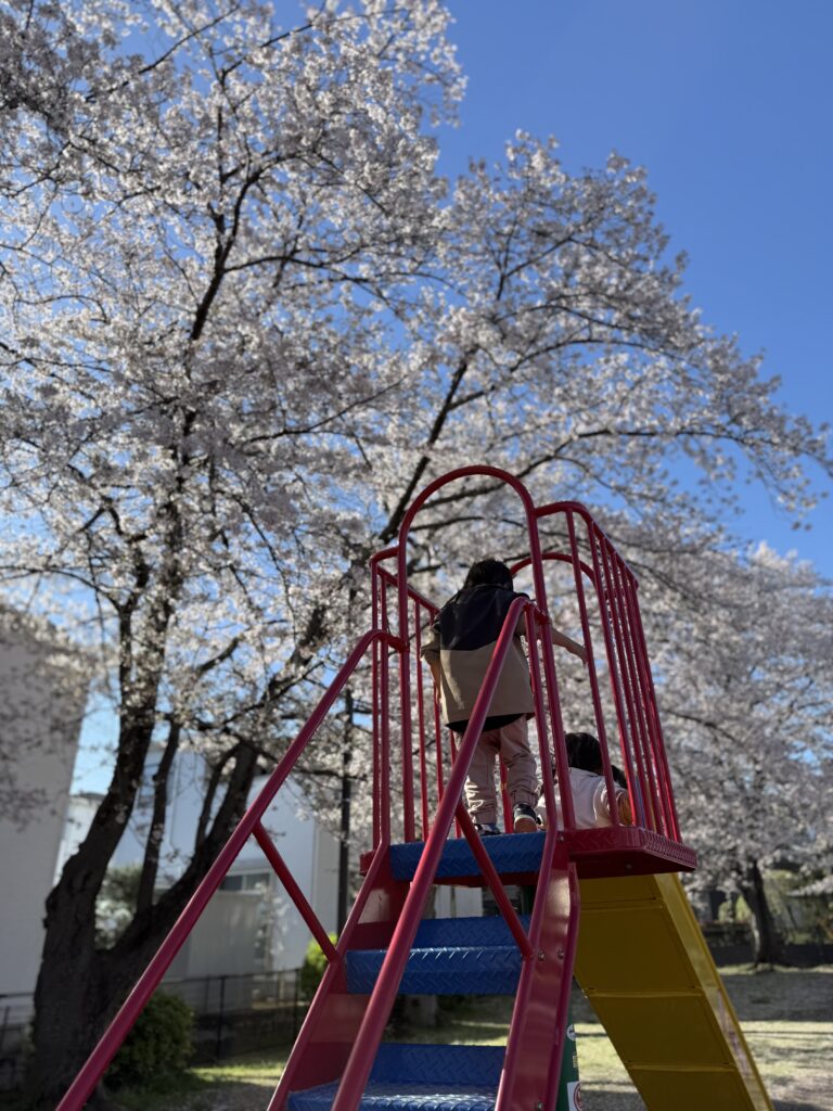 公園の滑り台で遊んでいる男女双子の後ろ姿の写真